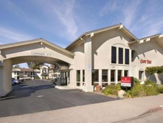 olive tree inn and suites