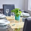 pleasure holiday apartments