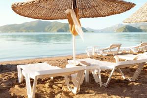 the beachfront hotel adult only 16 plus