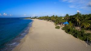 emotions by hodelpa puerto plata