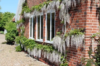 Colston Hall Farmhouse B&B,,4 star