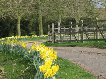 Colston Hall Farmhouse B&B,,4 star