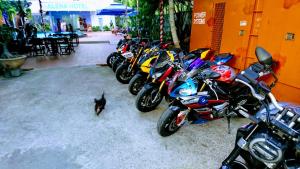 mui ne alena bungalow hotel