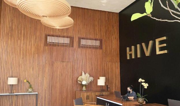 hive cancun