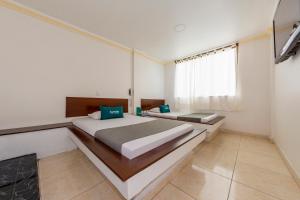 ayenda parque del quindio