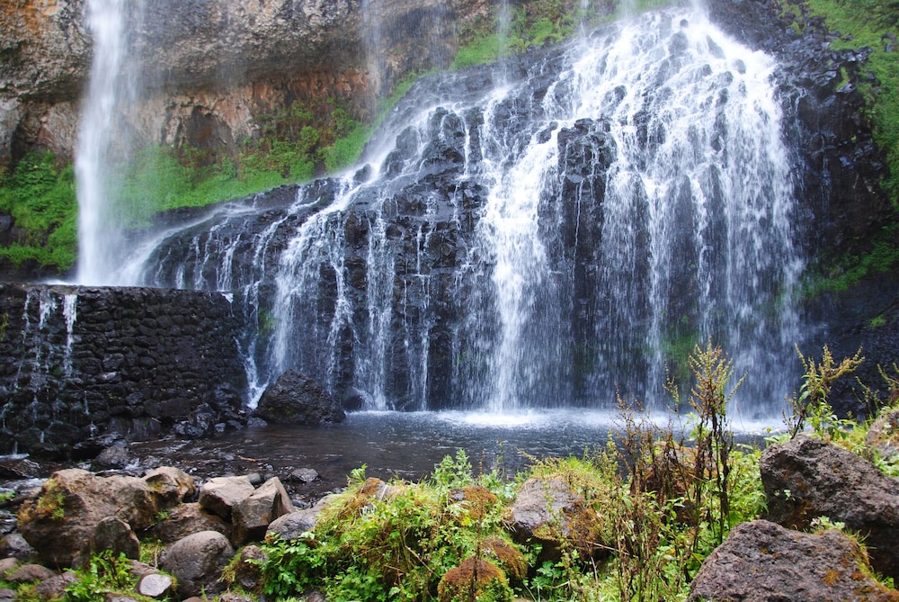 les rives de larzon