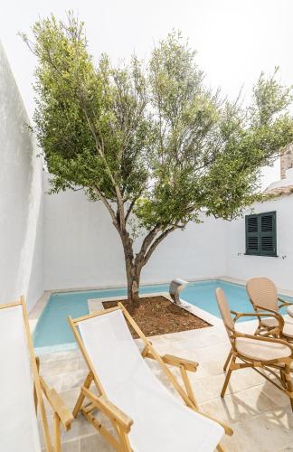 seranova luxury hotel adults only