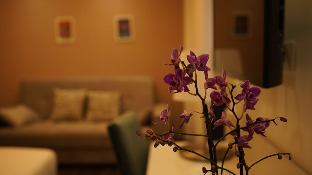 palazzo cappuccini art relais