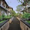 ketuts place villas ubud