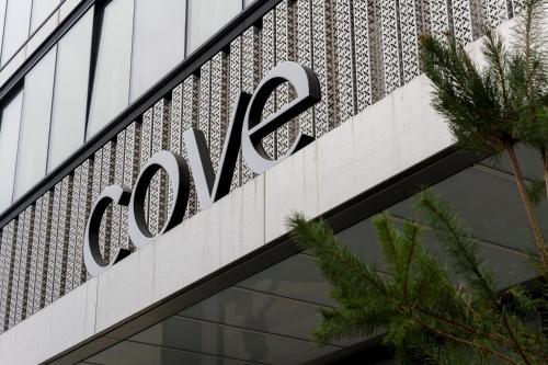 cove landmark pinnacle