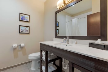 comfort inn and suites balch springs se dallas