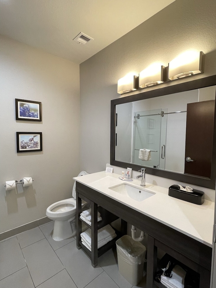 comfort inn and suites balch springs se dallas