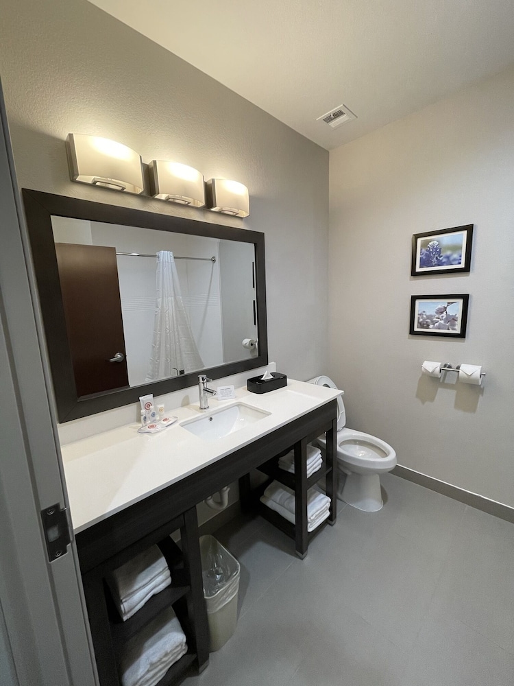 comfort inn and suites balch springs se dallas