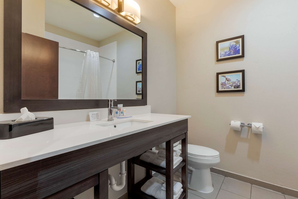 comfort inn and suites balch springs se dallas