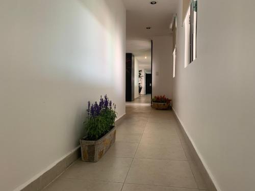 hotel escala puebla centro