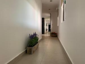 hotel escala puebla centro