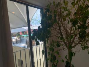 hotel escala puebla centro