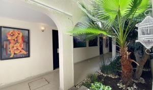 hotel escala puebla centro