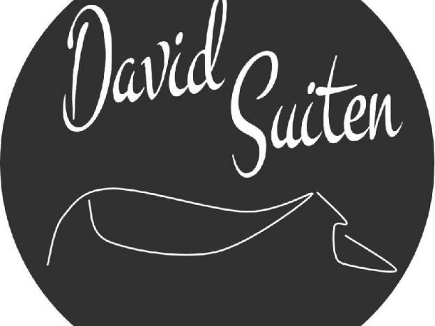 david suiten