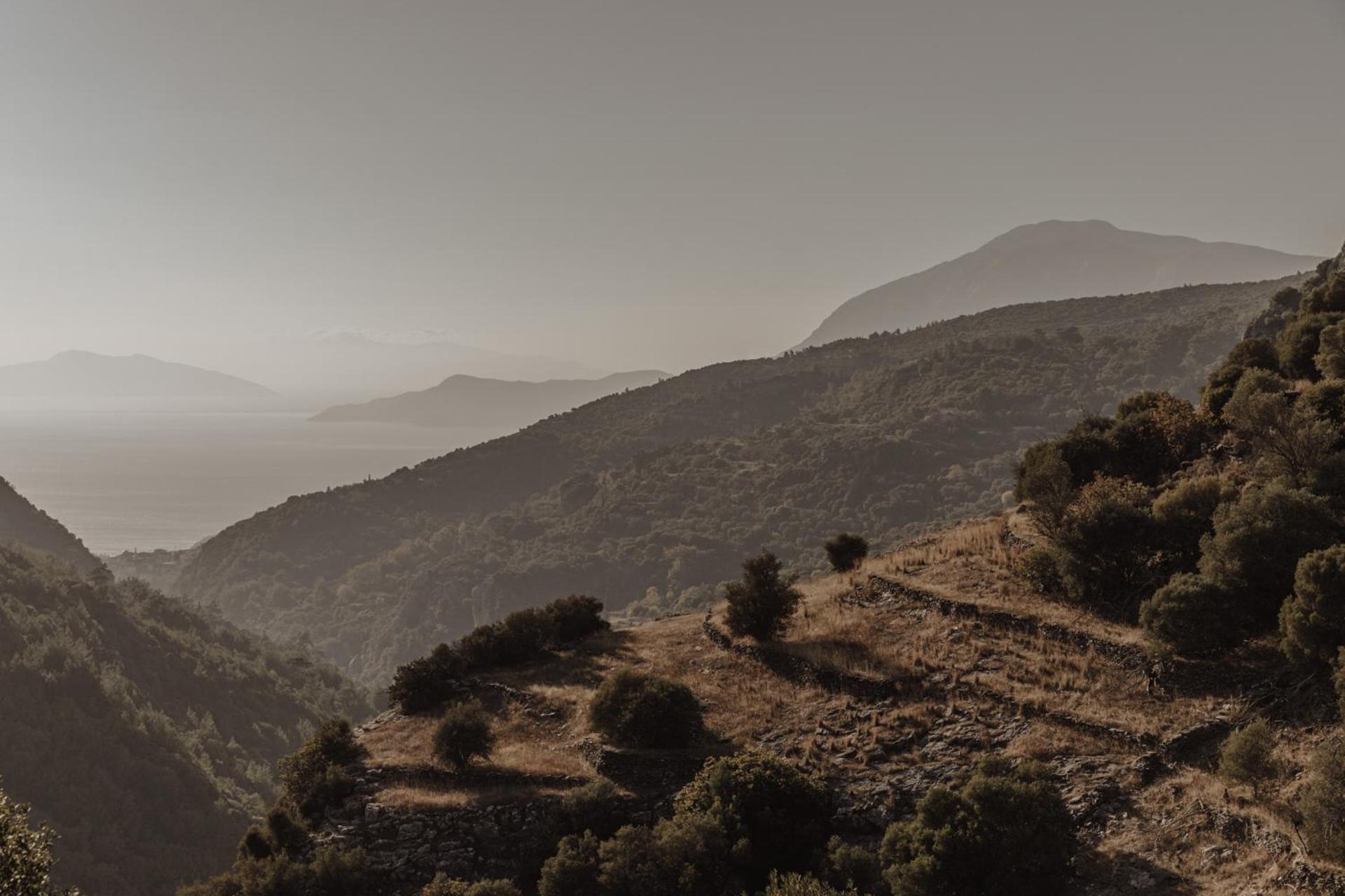 casa cook samos