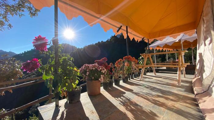 ananta prana glamping resort hotel mussoorie