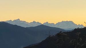 ananta prana glamping resort hotel mussoorie