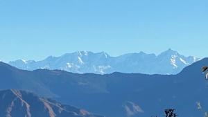 ananta prana glamping resort hotel mussoorie