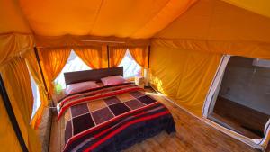 ananta prana glamping resort hotel mussoorie