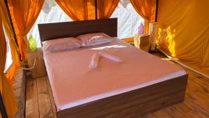 ananta prana glamping resort hotel mussoorie