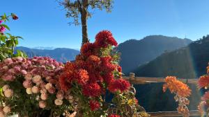 ananta prana glamping resort hotel mussoorie
