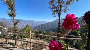 ananta prana glamping resort hotel mussoorie