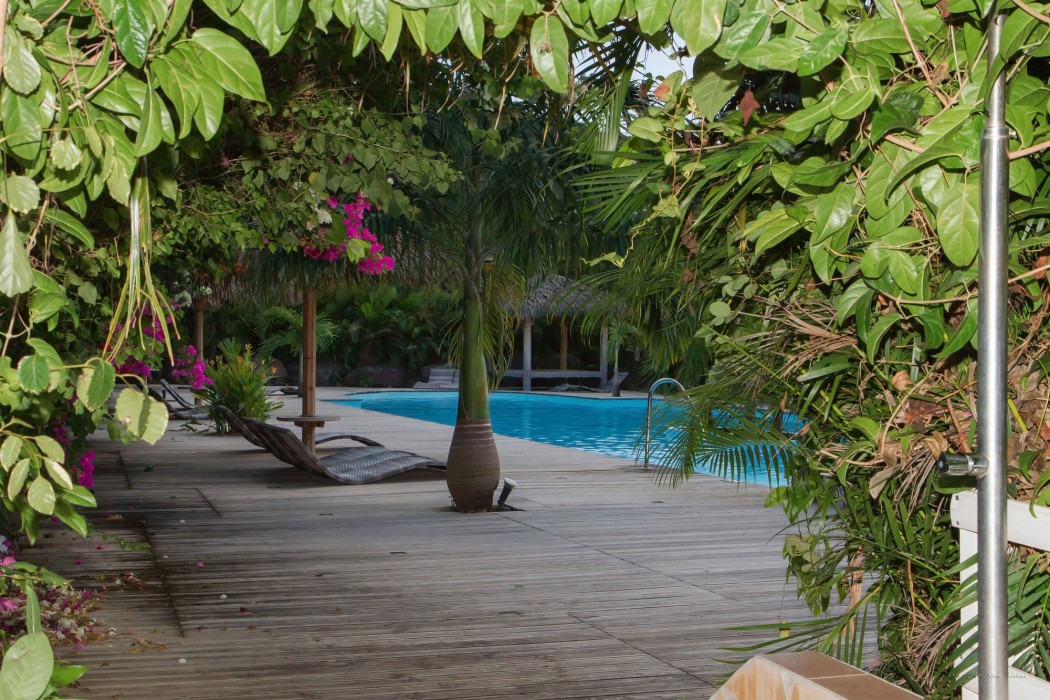 tropicana suites