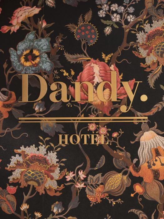 dandy hotel and kitchen