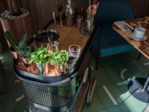 novotel mexico city world trade center apertura julio 2022