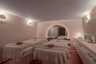 doubletree by hilton lyon eurexpo and spa