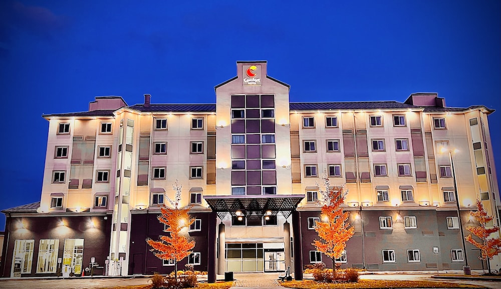comfort hotel