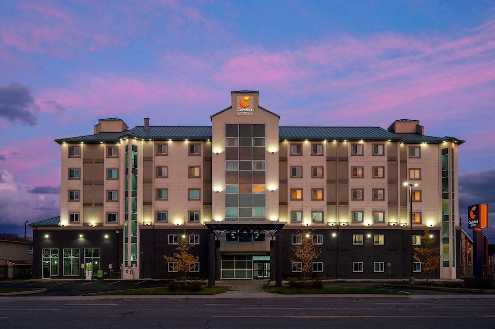 comfort hotel