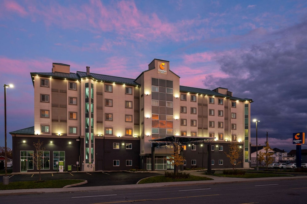 comfort hotel