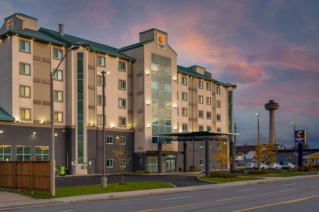 comfort hotel