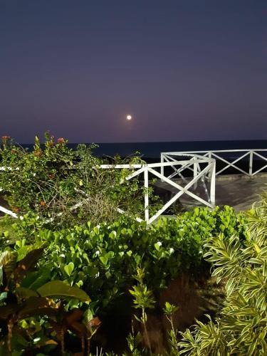 jequia da praia