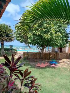 jequia da praia