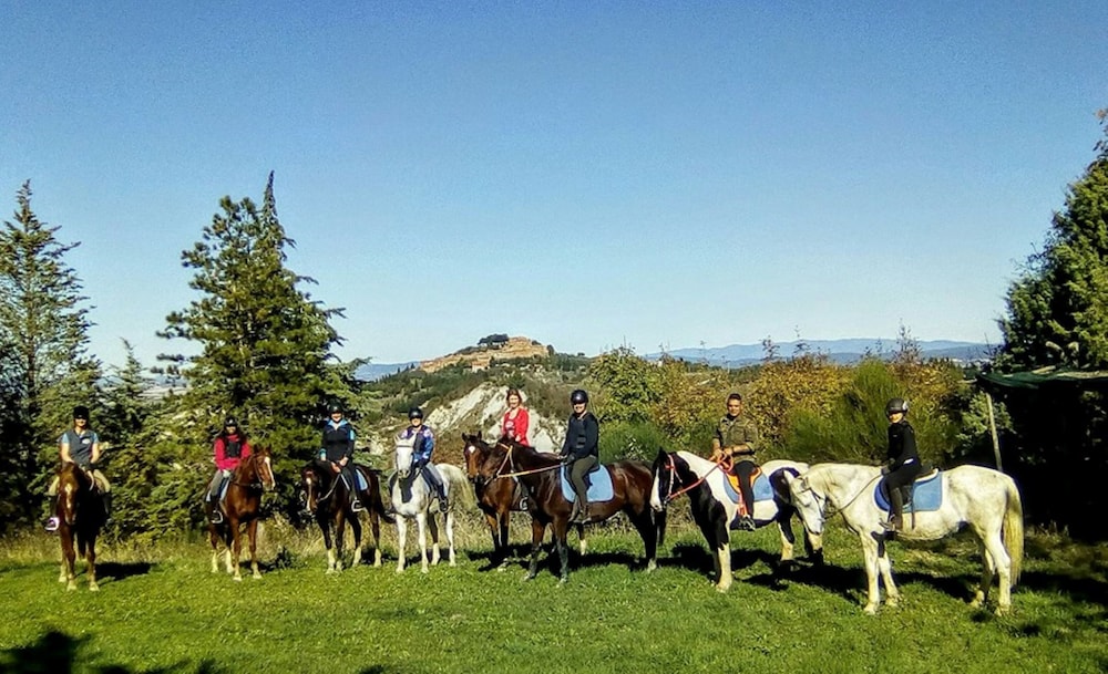 fattoria pieve a salti