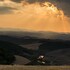 fattoria pieve a salti