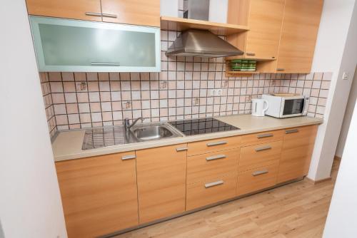 apartments znidar