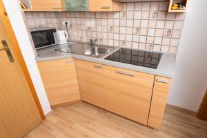 apartments znidar