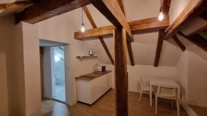 apartments znidar