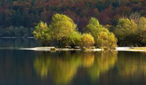 bohinj