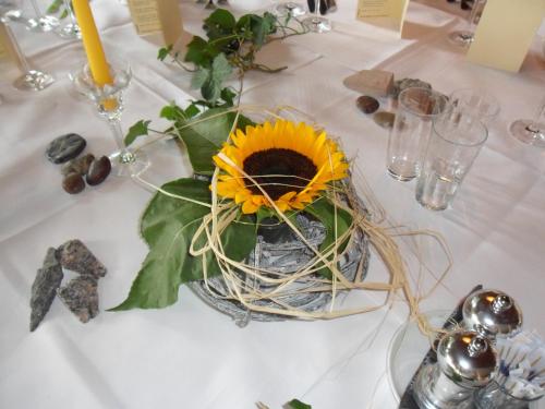 freiburg im breisgau