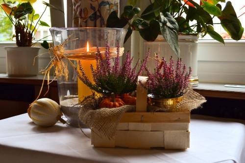 freiburg im breisgau