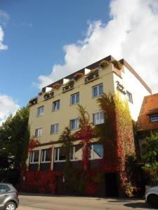 freiburg im breisgau